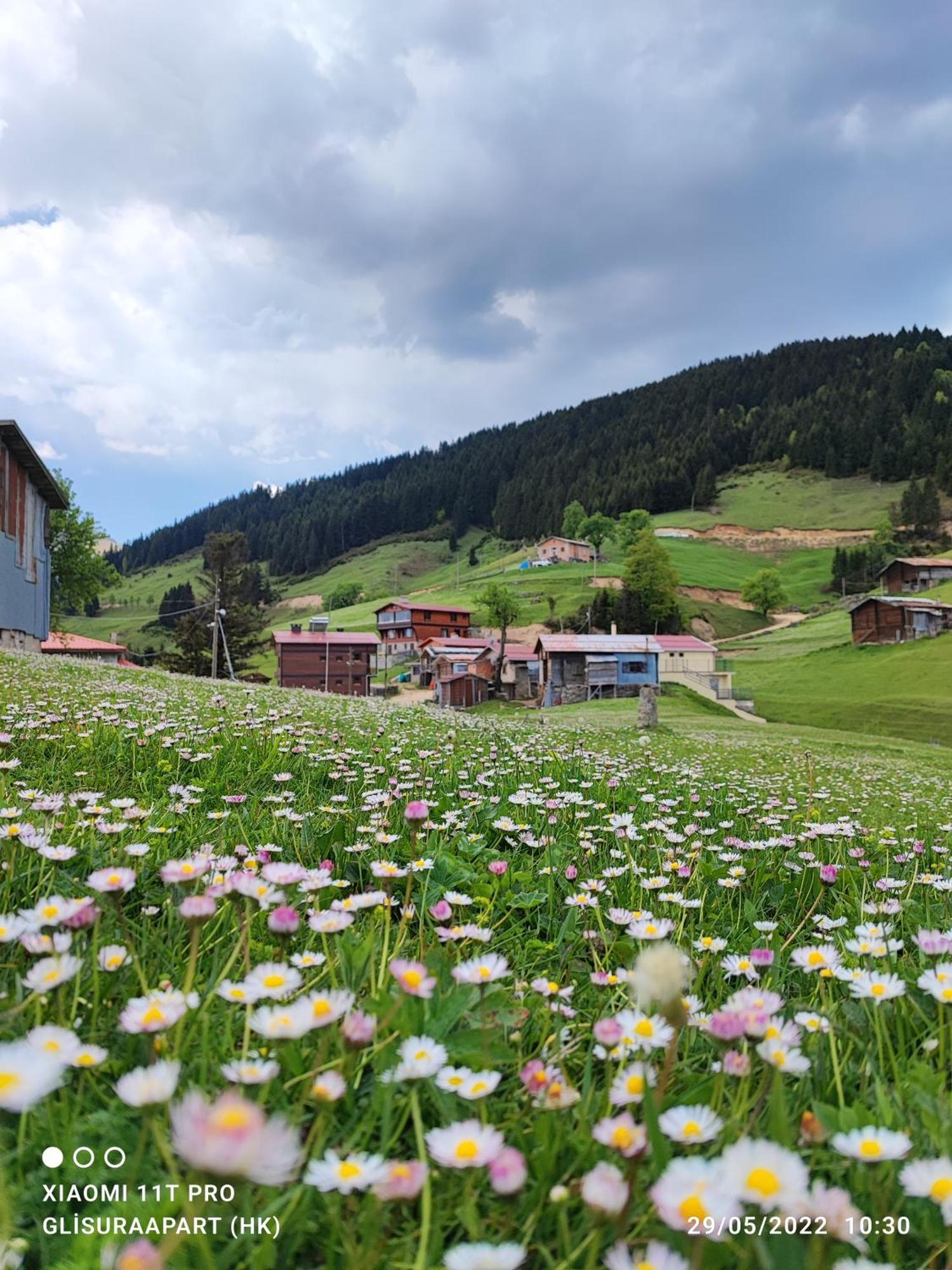 Gumul Pansiyon Uzungol Exterior foto